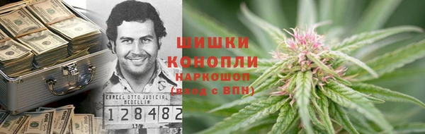 сатива Арсеньев