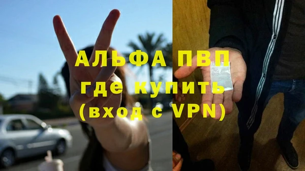 сатива Арсеньев