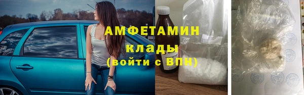 сатива Арсеньев