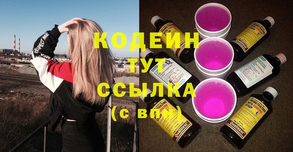 сатива Арсеньев