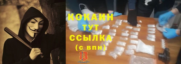 сатива Арсеньев