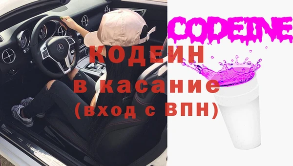 сатива Арсеньев